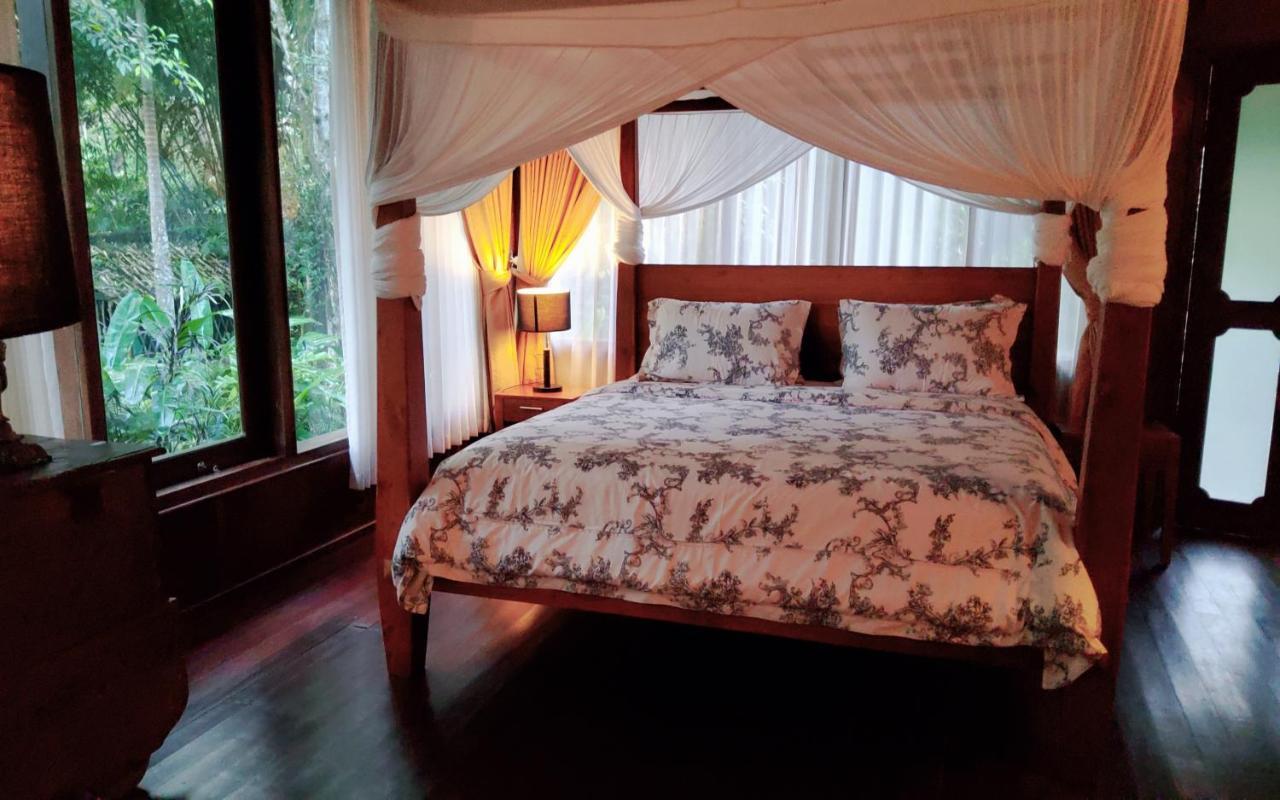 Mi Casa - The Gem Of Ijen Hotel Banyuwangi  Eksteriør billede