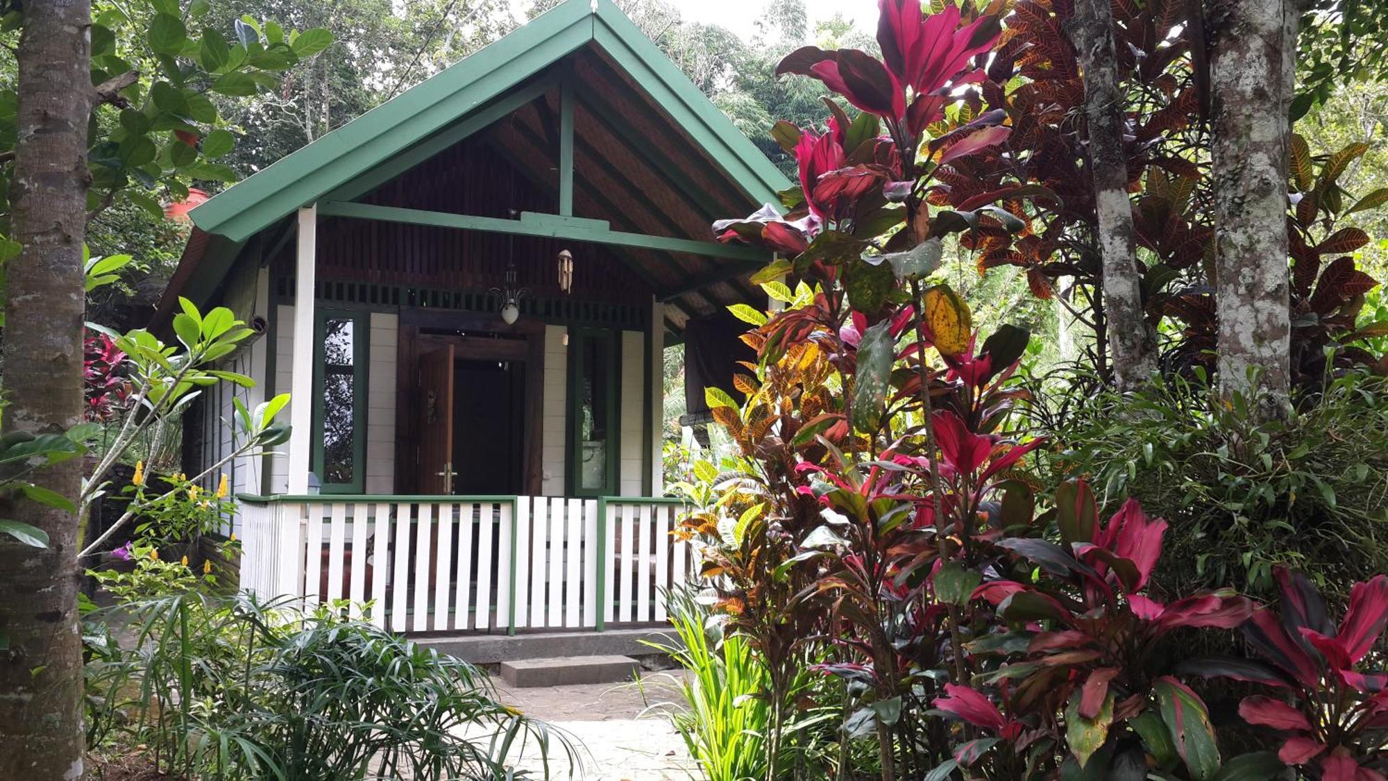 Mi Casa - The Gem Of Ijen Hotel Banyuwangi  Eksteriør billede