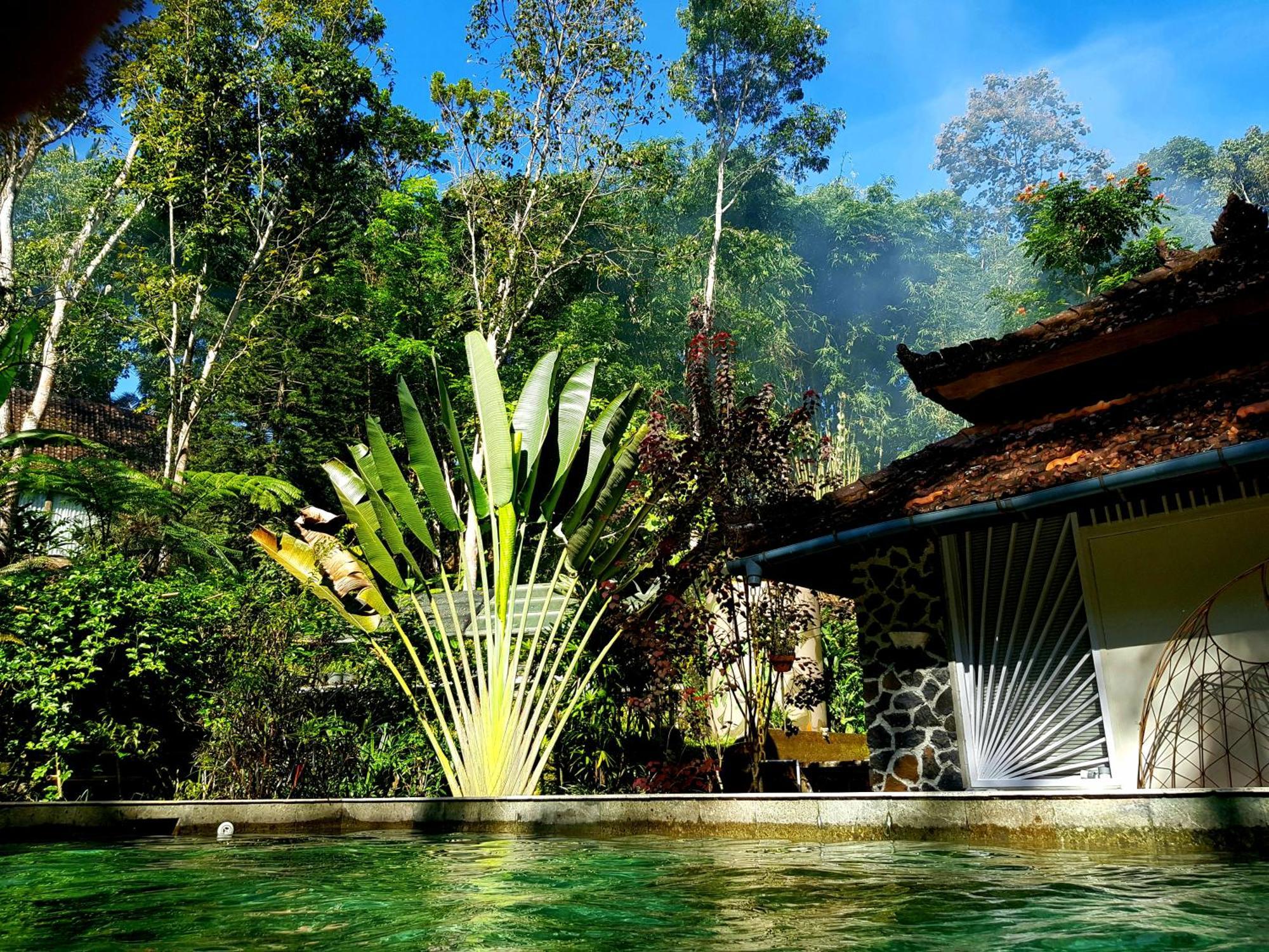 Mi Casa - The Gem Of Ijen Hotel Banyuwangi  Eksteriør billede