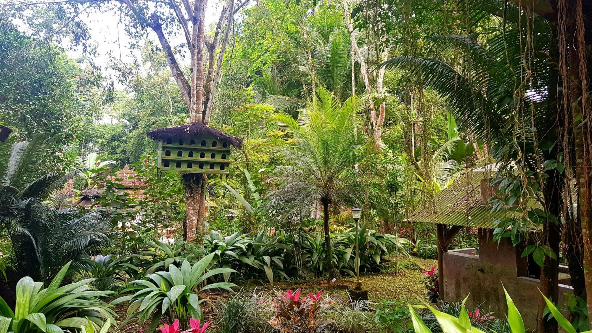 Mi Casa - The Gem Of Ijen Hotel Banyuwangi  Eksteriør billede