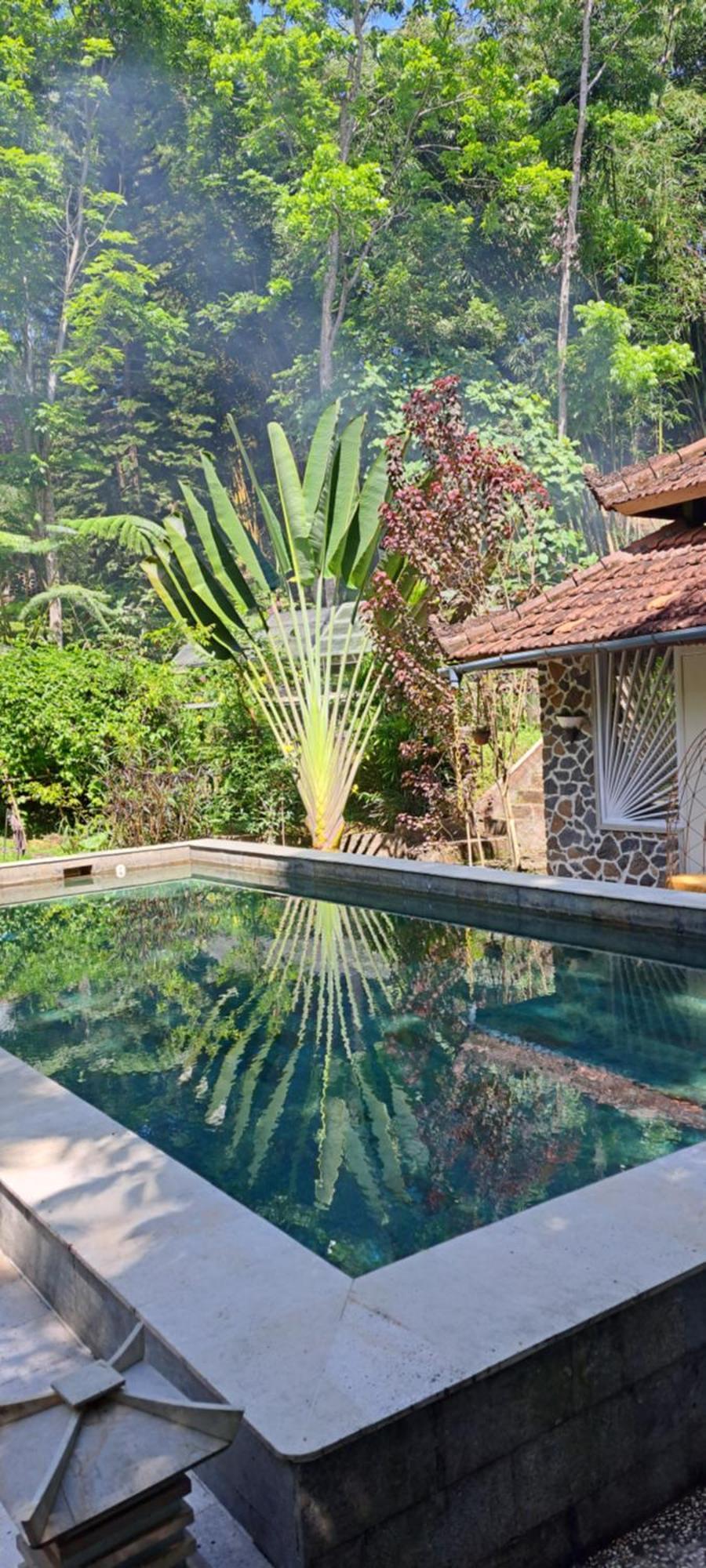 Mi Casa - The Gem Of Ijen Hotel Banyuwangi  Eksteriør billede