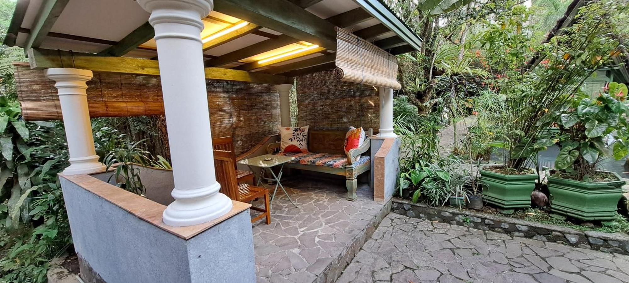 Mi Casa - The Gem Of Ijen Hotel Banyuwangi  Eksteriør billede